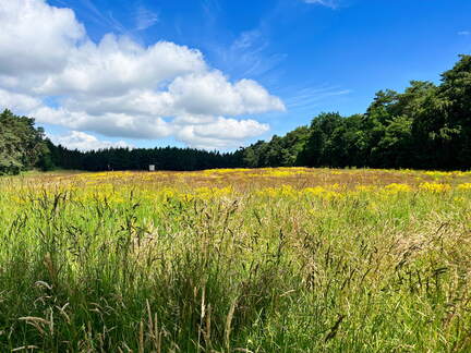 24-06-24 11-24-26 9828